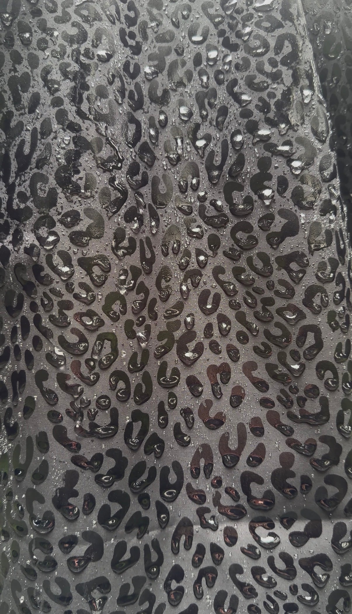 Leopard Membrane Jacket Preorder